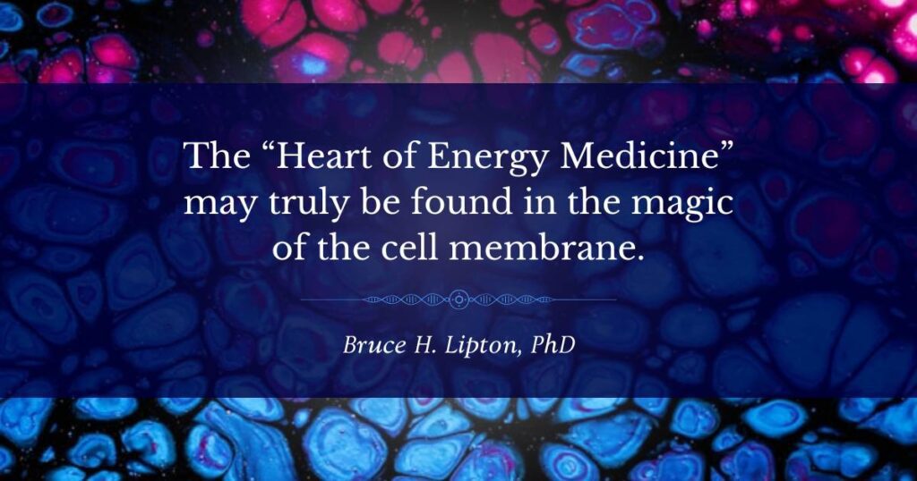 「能量醫學的心臟」可能真正存在於細胞膜的魔力中。 -布魯斯·利普頓博士