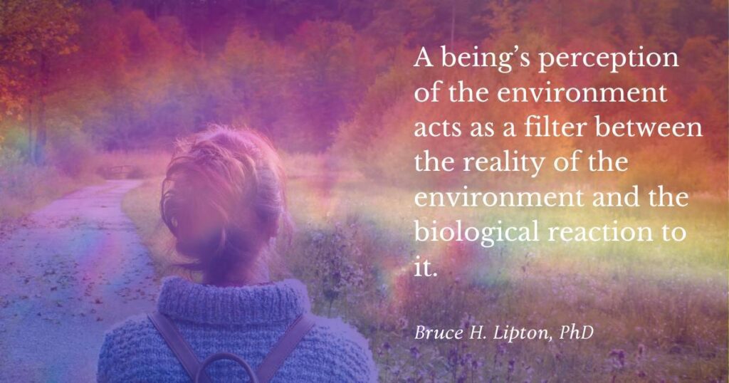 A being’s perception of the environment acts as a filter between the reality of the environment and the biological reaction to it. -Bruce Lipton PhD
