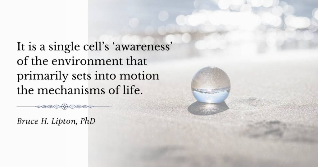 Det är en enskild cells "medvetenhet" om miljön som i första hand sätter igång livets mekanismer. -Bruce Lipton PhD