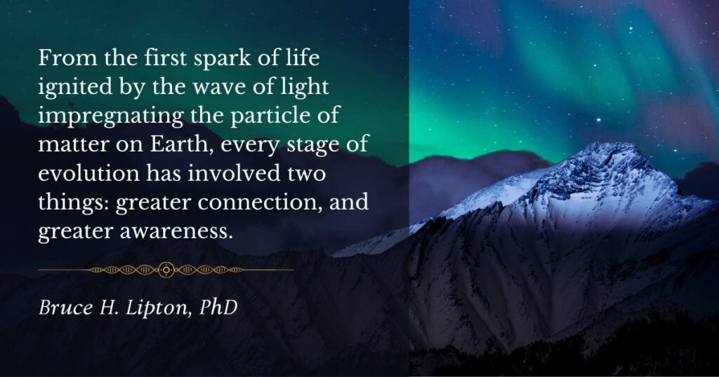 From the first spark of life ignited by the wave of light impregnating the particle of matter on Earth, every stage of evolution has involved two things: greater connection, and greater awareness. -Bruce Lipton PhD