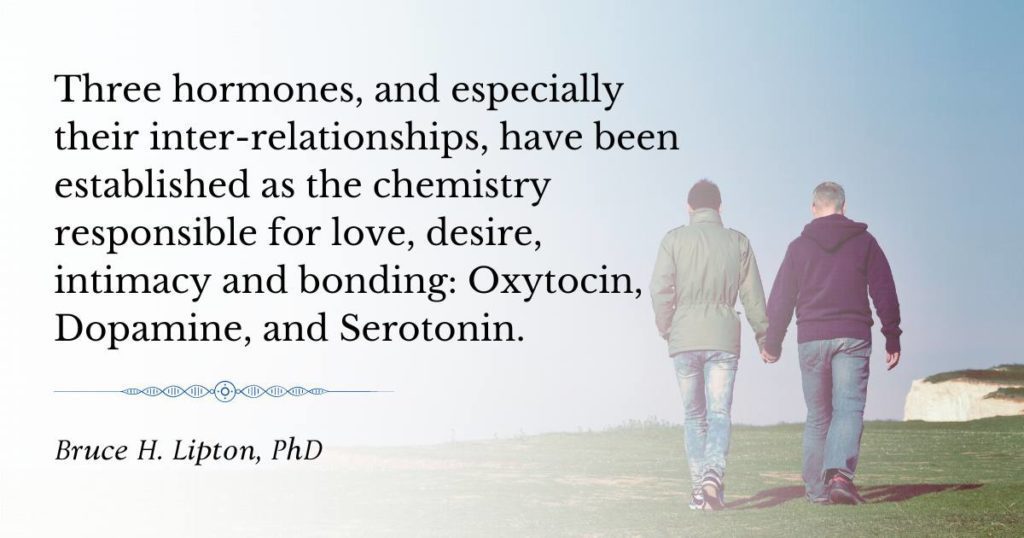 Drie hormonen, en vooral hun onderlinge relaties, zijn vastgesteld als de chemie die verantwoordelijk is voor liefde, verlangen, intimiteit en binding Oxytocine, Dopamine en Serotonine. -Bruce Lipton, PhD