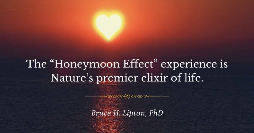 "Honeymoon Effect"-oplevelsen er naturens førende livseliksir. -Bruce Lipton, PhD