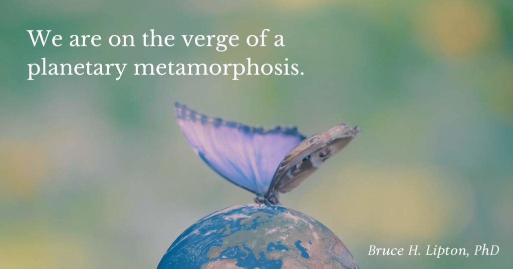 우리는 행성의 변태 직전에 있습니다. -Bruce Lipton, 박사