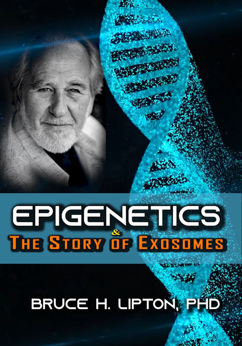 L'epigenetica e la storia degli esosomi: l'autostrada dell'informazione e il collegamento tra corpo e mente