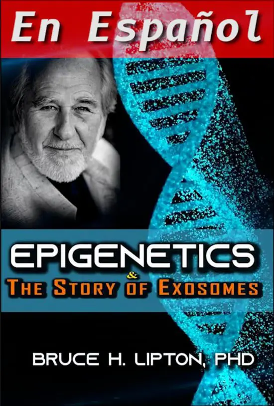 La epigenetica y la historia de los exosomas: la autopista de la información y uniendo cuerpo y mente