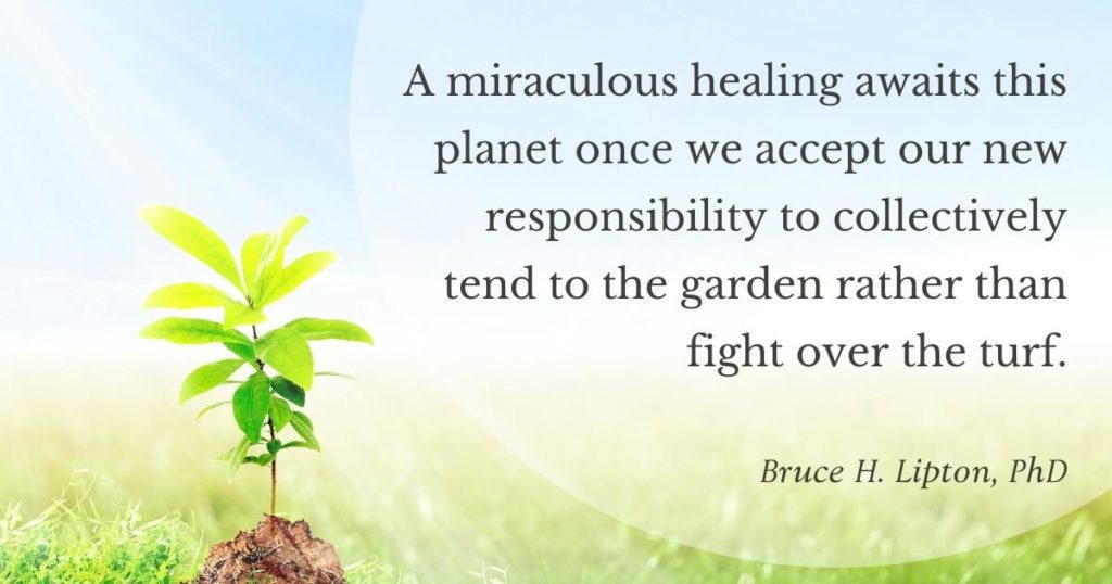 Zázračné uzdravení čeká tuto planetu, jakmile přijmeme naši novou odpovědnost kolektivně se starat o zahradu a ne bojovat o trávník. -Bruce Lipton, PhD