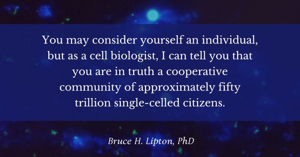 Você pode se considerar um indivíduo, mas como biólogo celular, posso dizer que você é, na verdade, uma comunidade cooperativa de aproximadamente cinquenta trilhões de cidadãos unicelulares. -Bruce Lipton, PhD