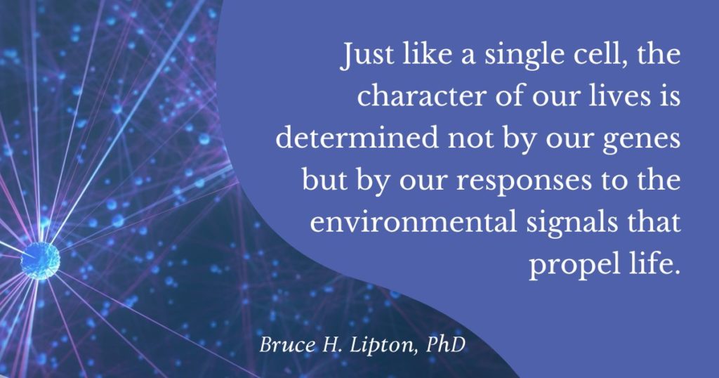 Just like a single cell, the character of our lives is determined not by our genes but by our responses to the environmental signals that propel life. -Bruce Lipton, PhD
