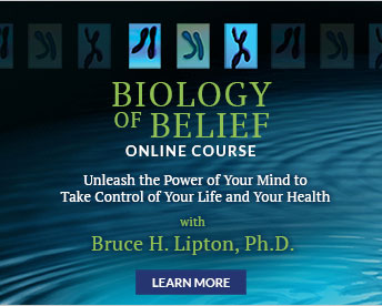 Biology of Belief Online Course